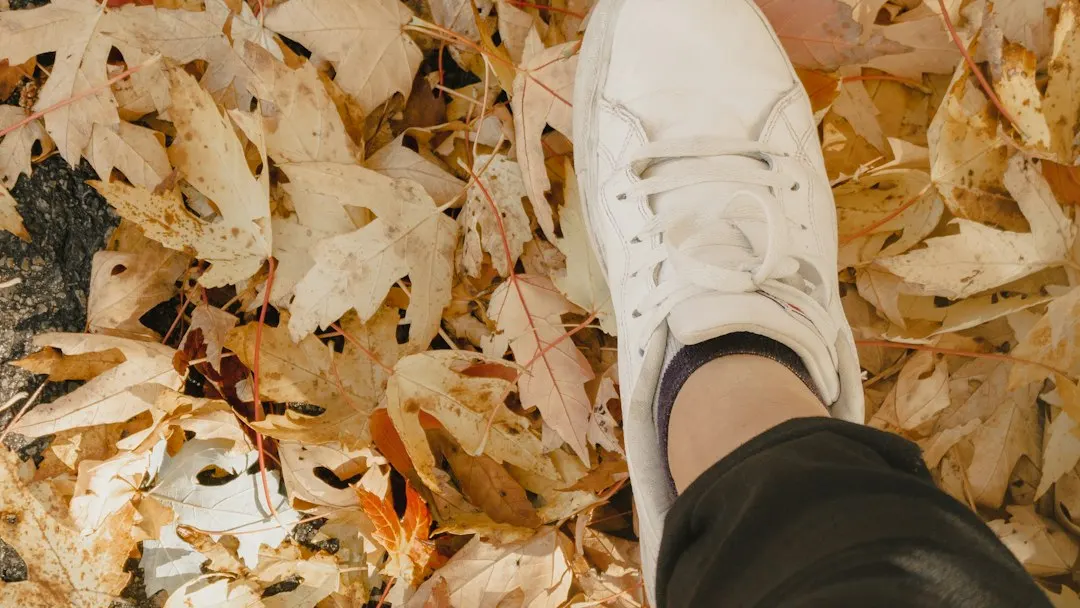 Is It Too Late to Start Again? What I Learned After Falling Back